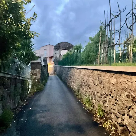 La Viola *