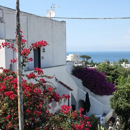 La Viola * Ischia