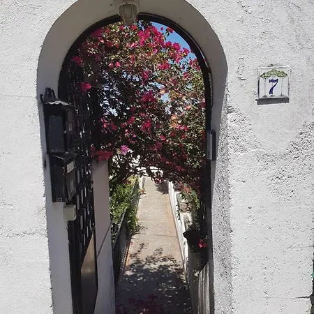 La Viola Apartment