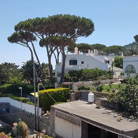 Apartment La Viola Ischia
