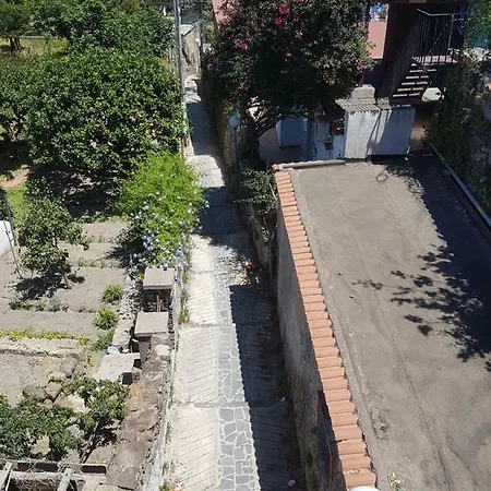Appartamento La Viola