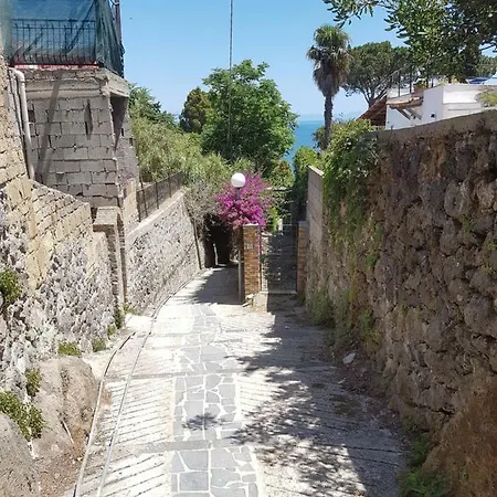 Appartamento La Viola