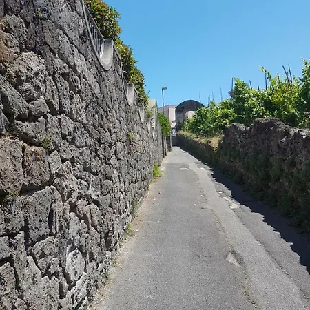 La Viola * Ischia