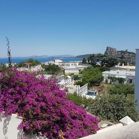 La Viola Ischia