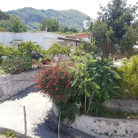 La Viola Ischia