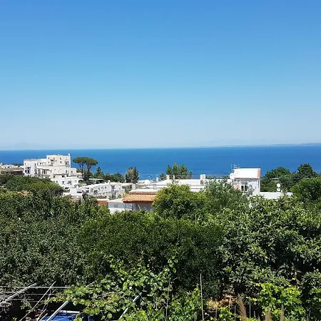 Apartment La Viola Ischia