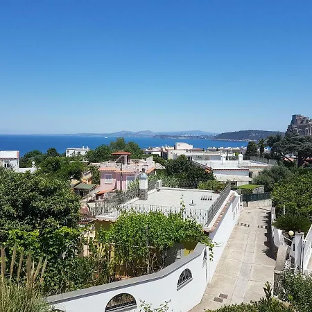 Apartment La Viola Ischia